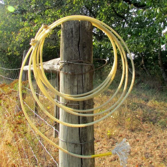 LASSO ROPE, 29 Ft BEGINNER'S POLY by CACTUS ROPES, LARIAT, CALF ROPING PRACTICE - Picture 5 of 6